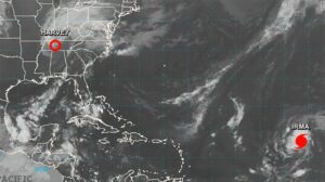 irma-harvey-0901-exlarge-169